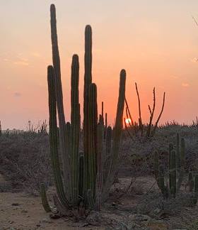 An Aruba Sunset