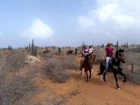 Horseback Riding