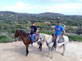 Horseback Riding