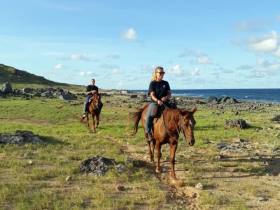 Horseback Riding