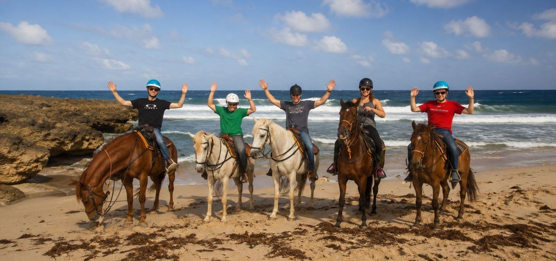 Aruba's Happiest Horses