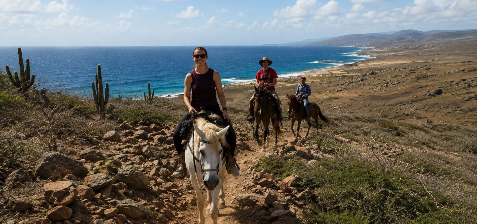 Aruba's Happiest Horses
